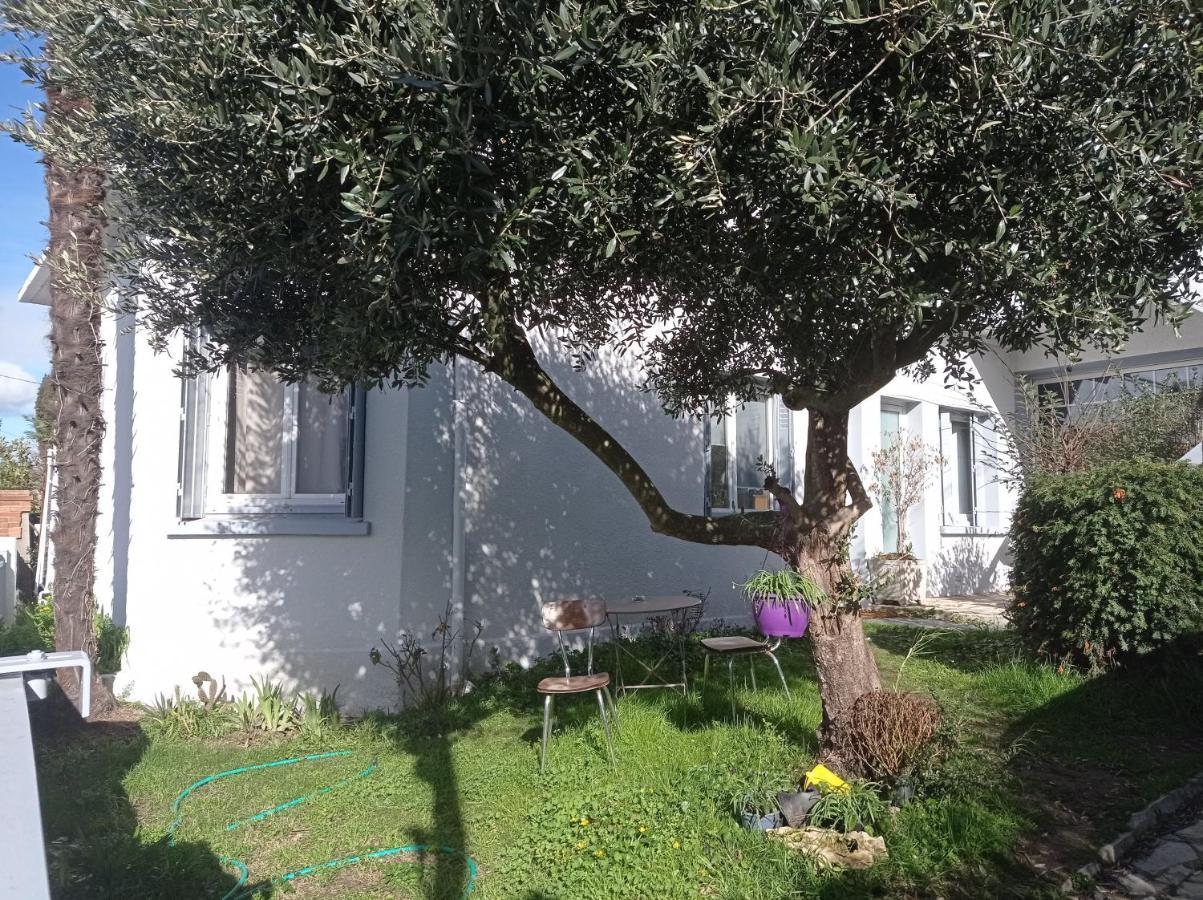 Chambre Meublee Independante, Avec Piscine Et Jardin, 1 Lit Pour 2 Personnes Direct Gare Aeroport Toulouse Luaran gambar